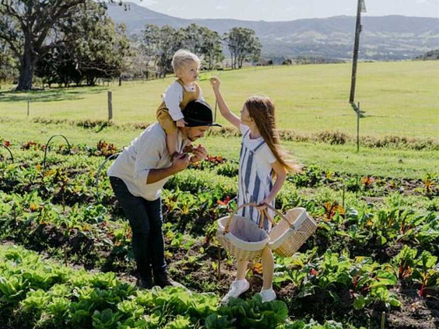 Jamberoo Valley Farm Tours, Jamberoo, NSW