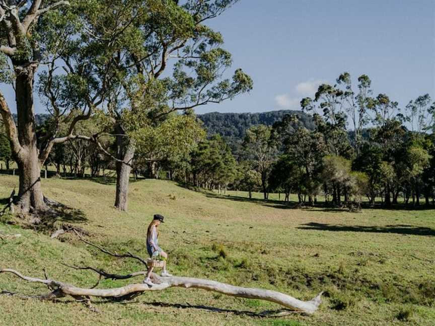 Jamberoo Valley Farm Tours, Jamberoo, NSW