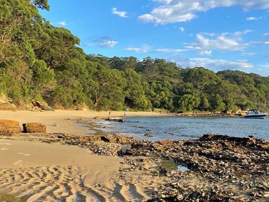 EcoWalks Tours, Sydney, NSW