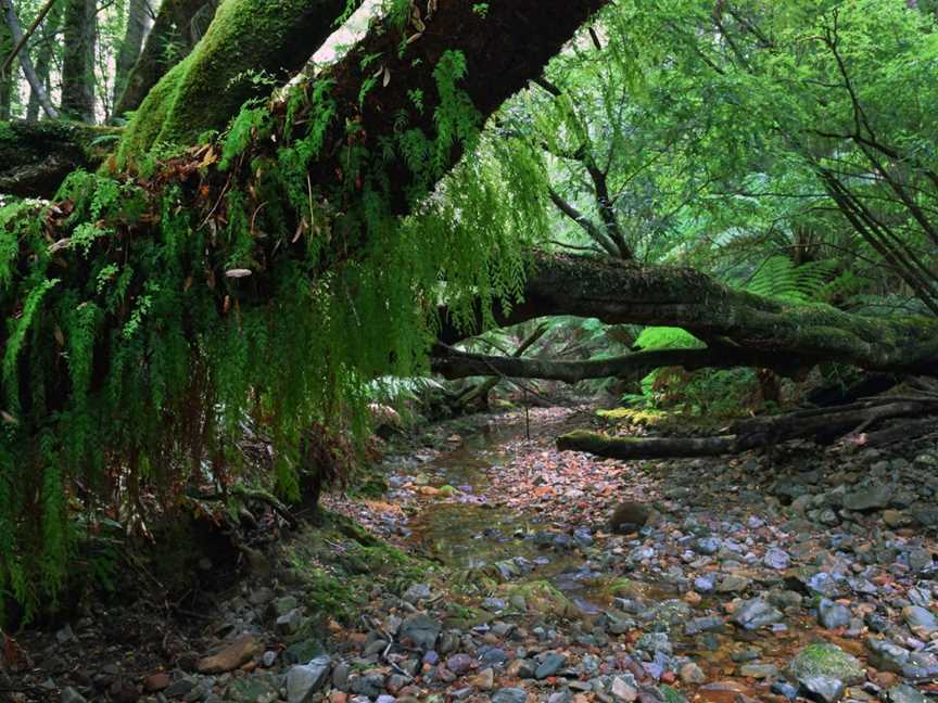 Nature Engagement Tours, Shellharbour, NSW