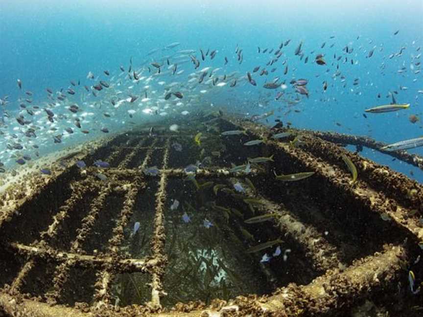 Tobruk Dive Experience, Bundaberg, QLD