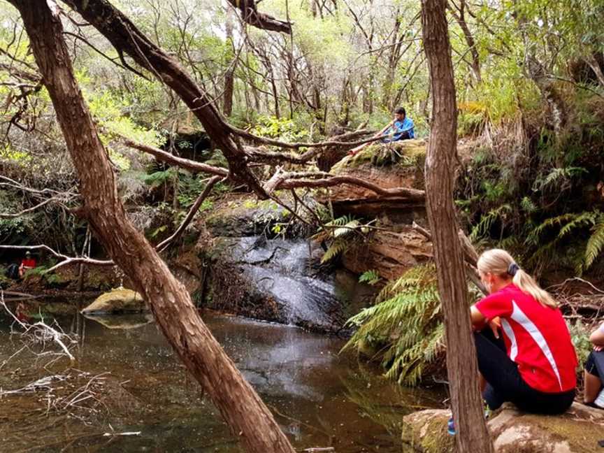 Optimum Experiences, Fitzroy Falls, NSW