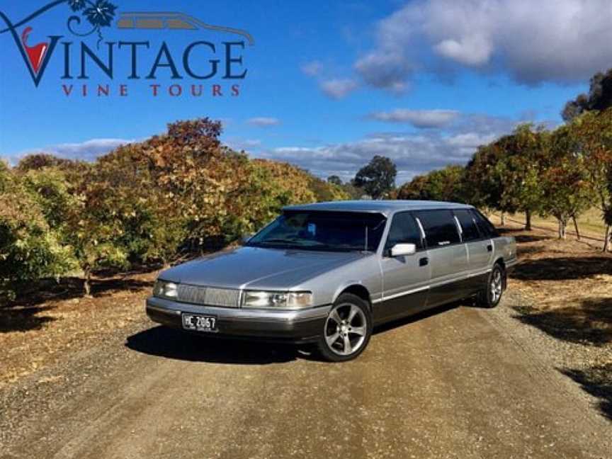 Vintage Vine Tours, Pokolbin, NSW