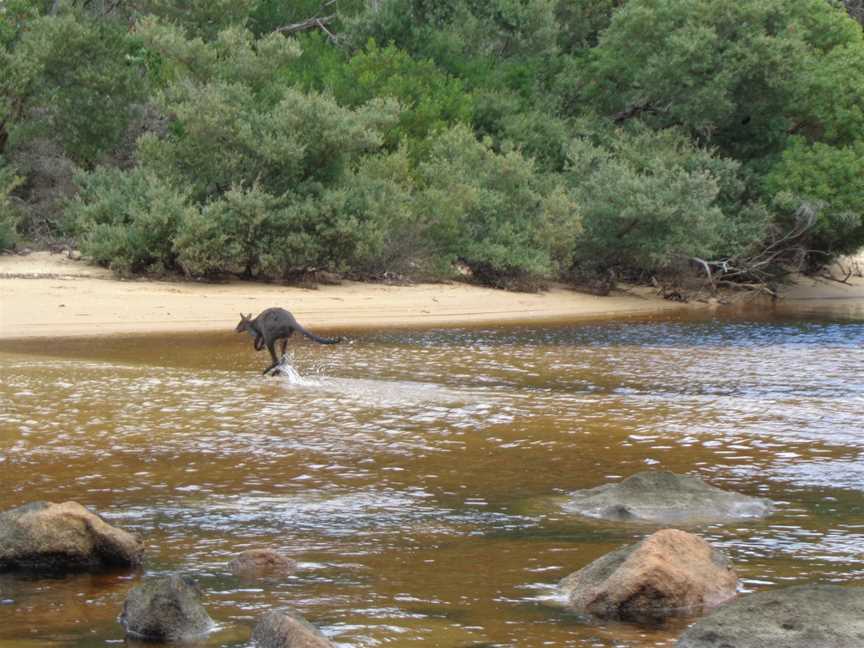 Wild Trek Tours, Melbourne, VIC