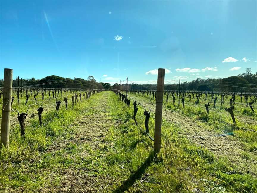 Cheers Scenic & Winery Tours, Margaret River, WA