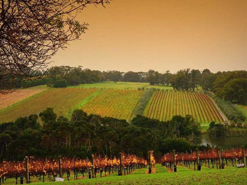 The Private Tour Guide, Melbourne, VIC