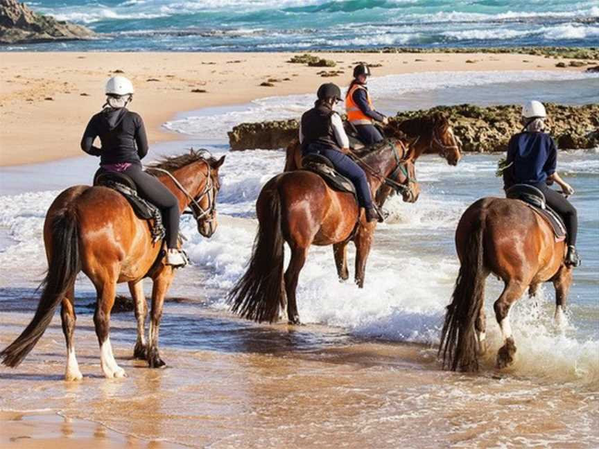 Gunnamatta Trail Rides, Rye, VIC