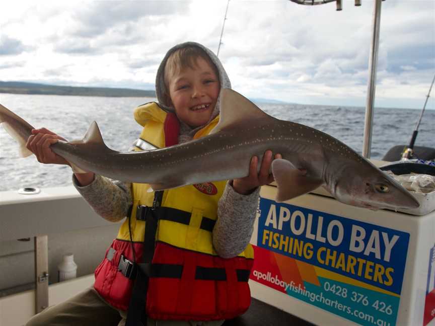 Apollo Bay Fishing Charters, Apollo Bay, VIC