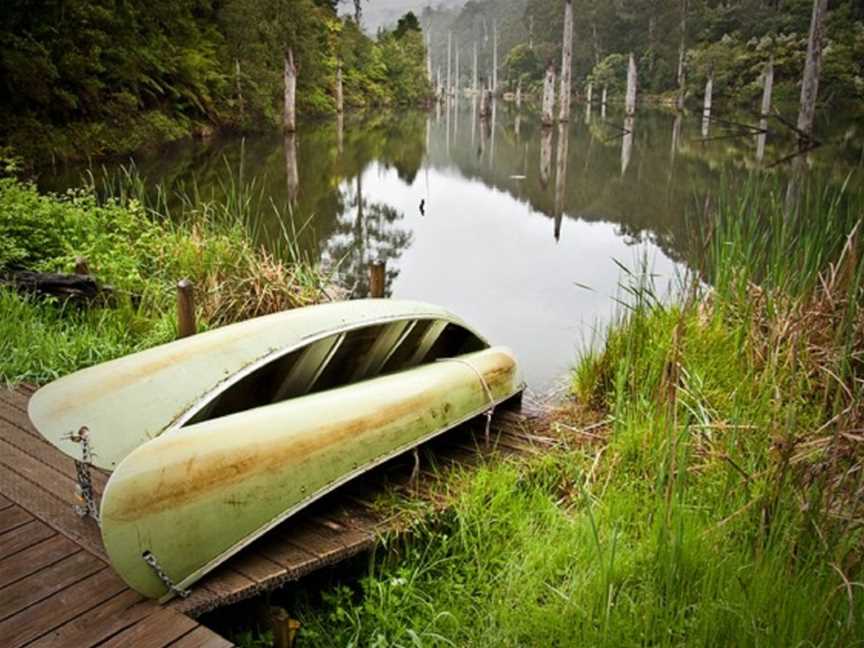 Otway Eco Tours, Forrest, VIC