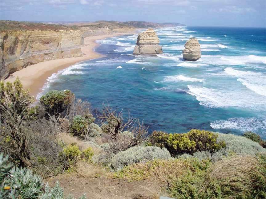 Otway Eco Tours, Forrest, VIC