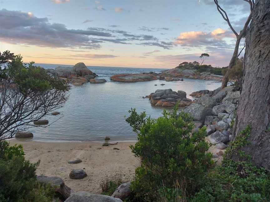 Bay of Fires Eco Tours, Binalong Bay, Tas