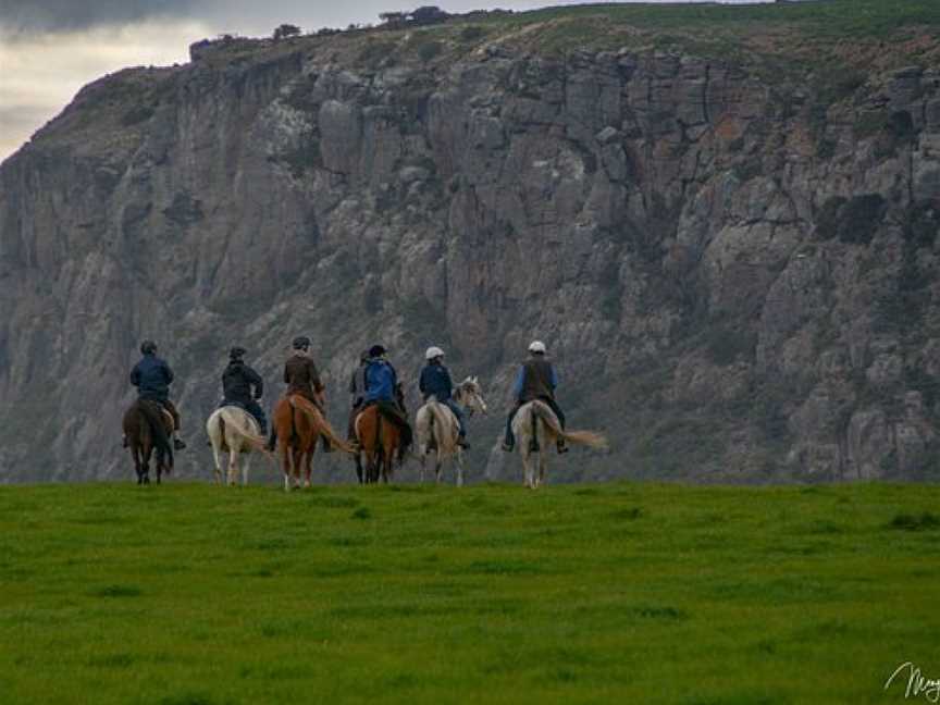 Australian Horse Adventures, Carrick, TAS