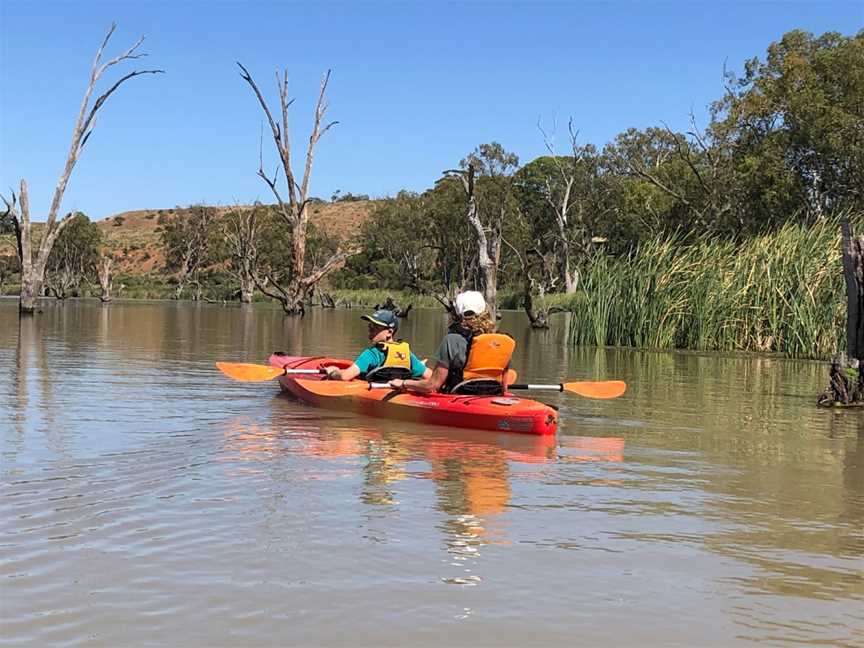 Canoe Adventures - Riverland, Berri, SA