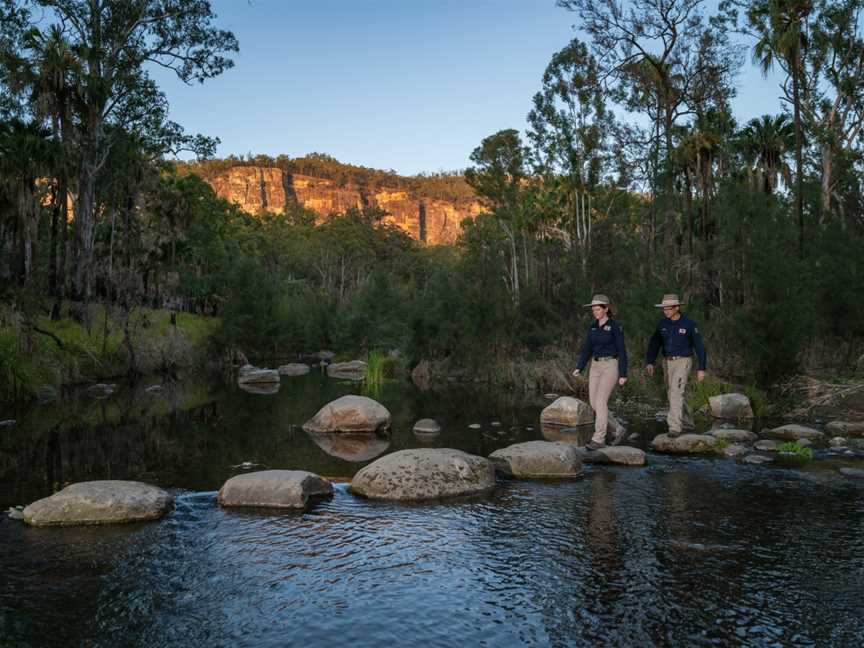 Australian Nature Guides, Carnarvon National Park, QLD