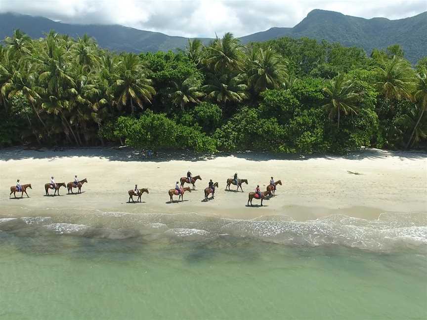 Cape Trib Horse Rides, Cape Tribulation, QLD