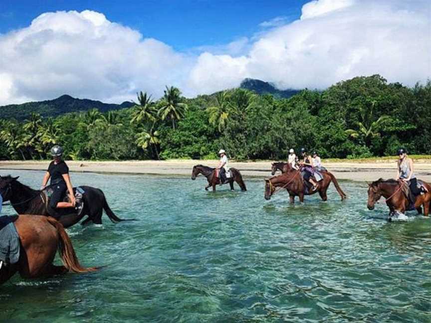 Cape Trib Horse Rides, Cape Tribulation, QLD