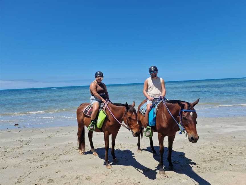 Cape Trib Horse Rides, Cape Tribulation, QLD