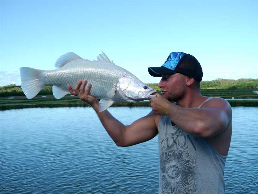 Hook-A-Barra, Wonga Beach, QLD