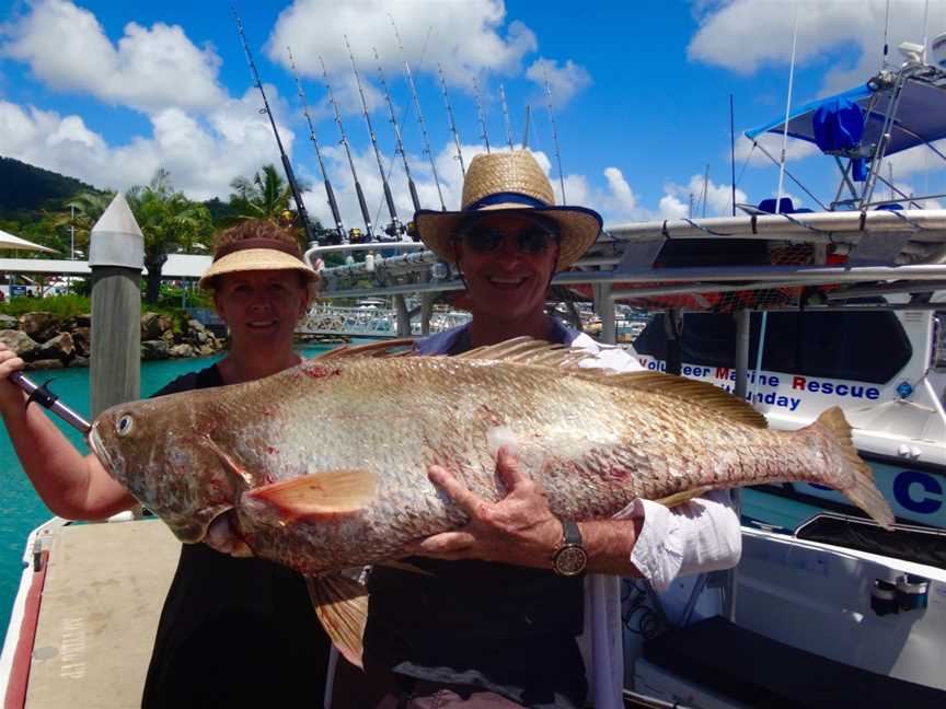 Airlie Beach Fishing Charters, Airlie Beach, QLD