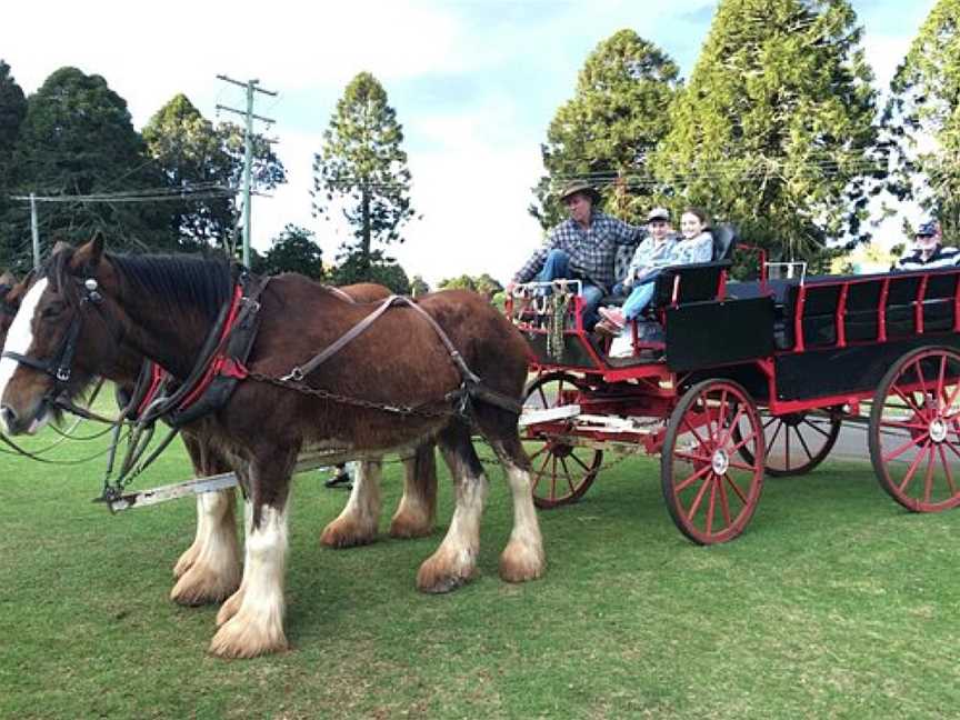 Bunya Mountains Horse Drawn Tours, Dalby, QLD