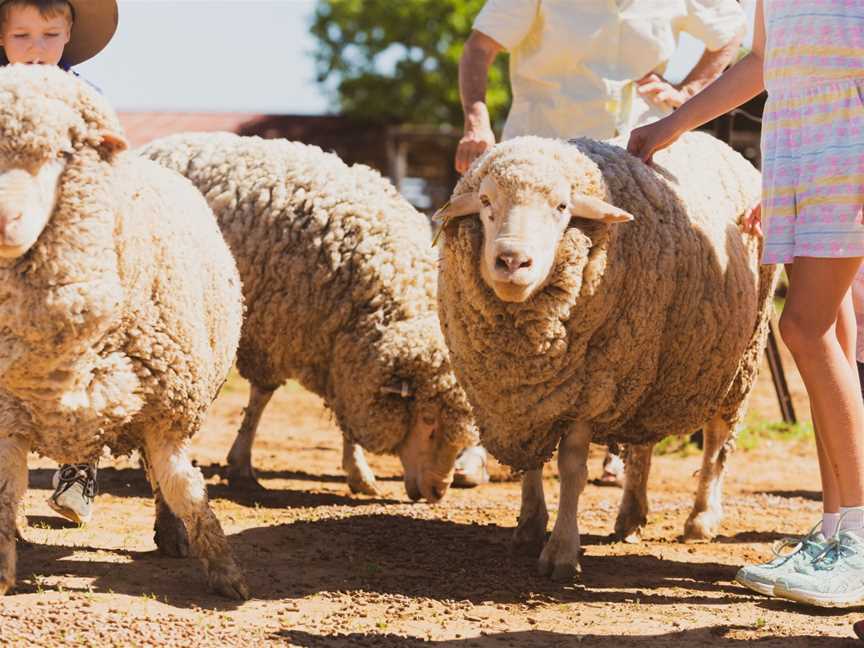 Barcaldine Tag Along Tours - Dunraven Station, Barcaldine, QLD