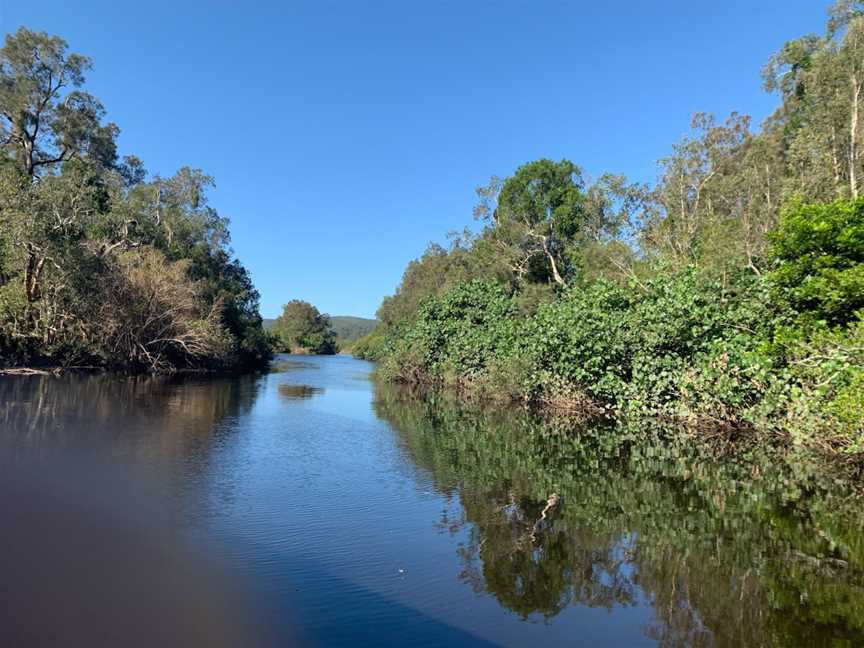 Everglades Eco Safaris, Boreen Point, QLD