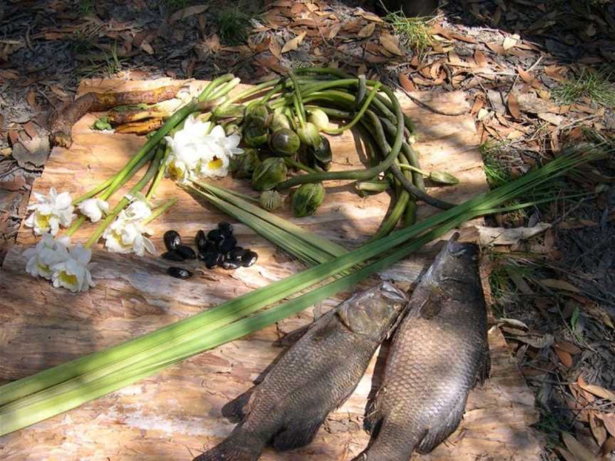 Ayal Aboriginal Tours Kakadu, Jabiru, NT