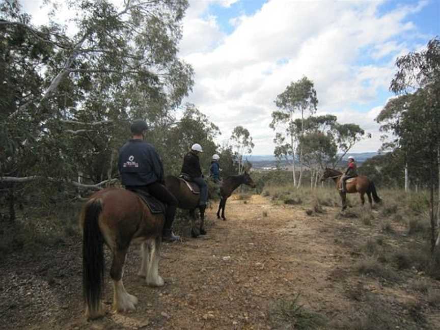 Burnelee Excursions on Horseback, Murrumbateman, NSW