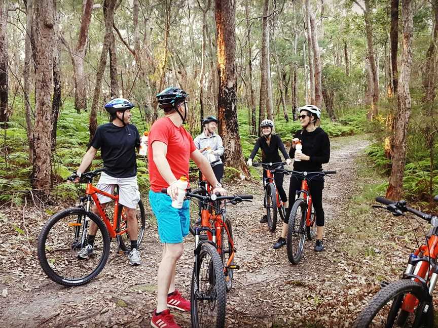 Central Coast Mountain Bike Tours, Umina Beach, NSW