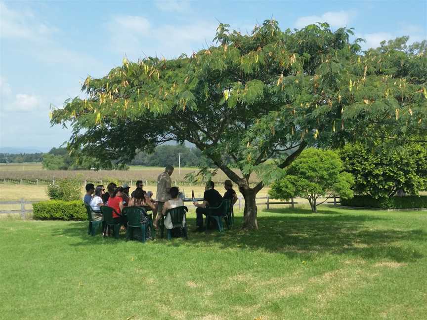 Group Wine Tours Hunter Valley, Newcastle, NSW