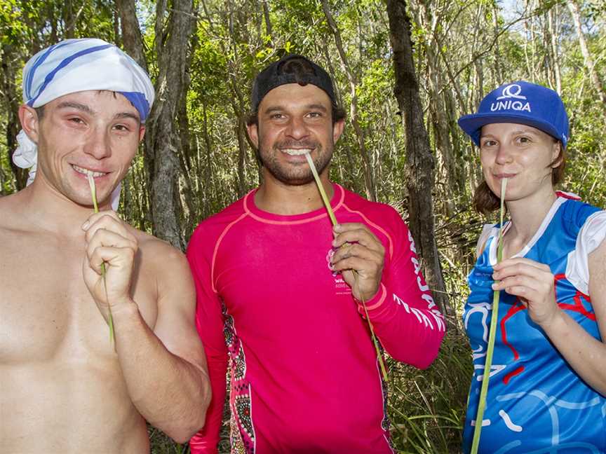 Adventure Tag Tours- Day Tours, Coffs Harbour, NSW