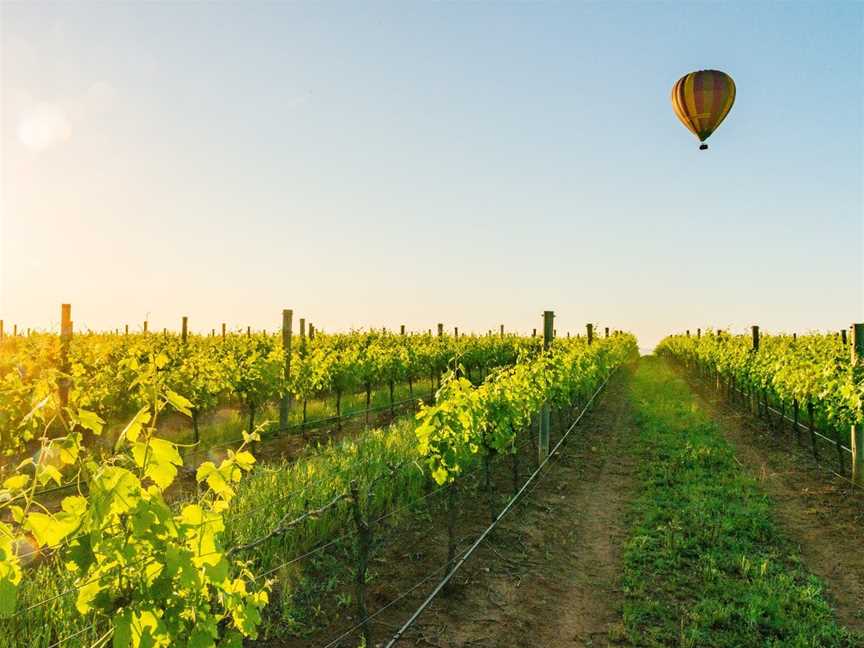 Balloon Aloft Hunter Valley, Lovedale, NSW