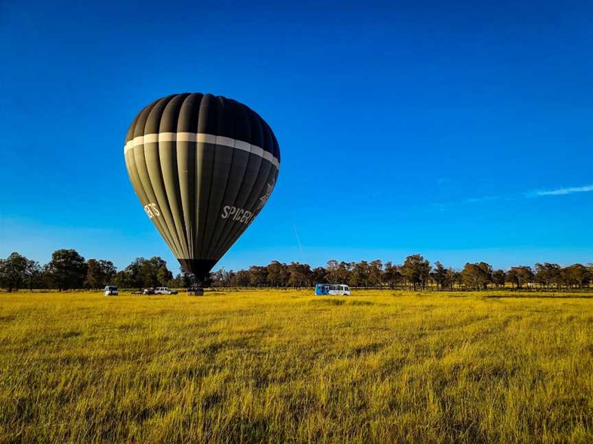 Balloon Aloft Hunter Valley, Lovedale, NSW