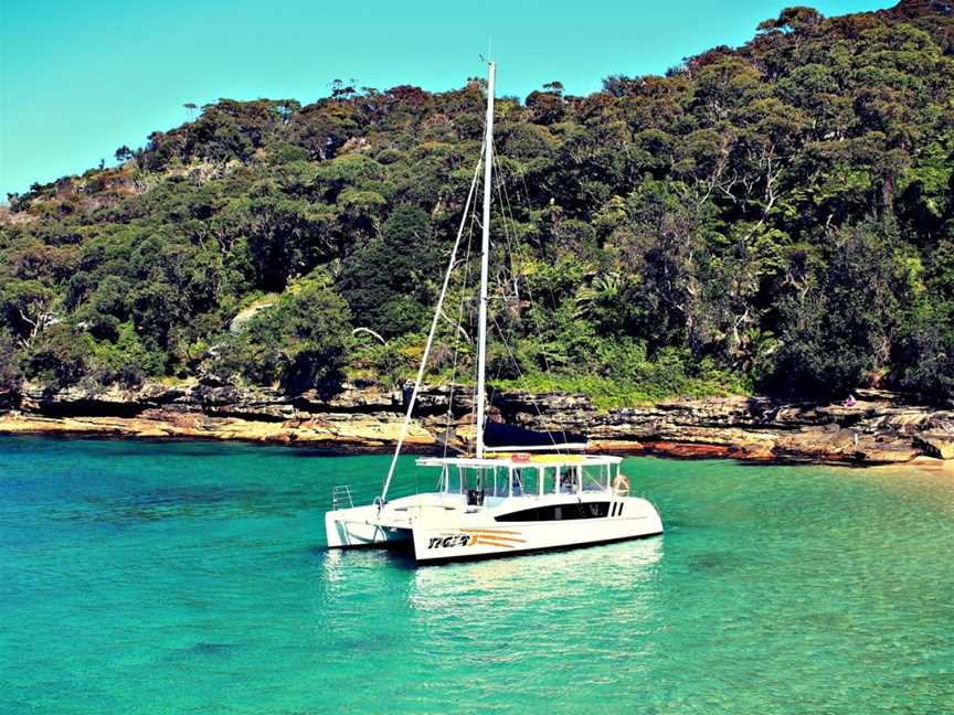 Tiger Catamarans, Coogee, NSW