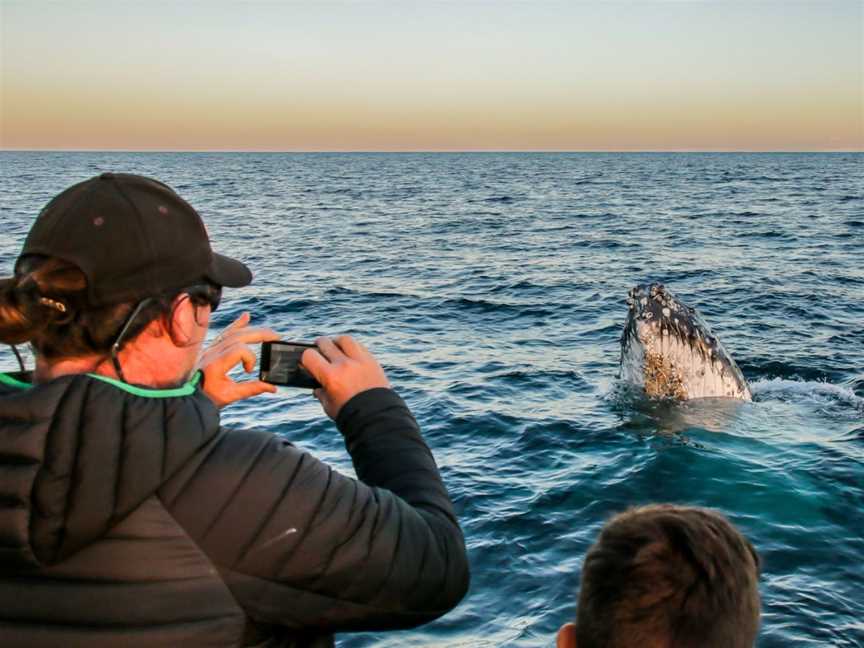 AquaMarine Adventures - Port Stephens, Nelson Bay, NSW