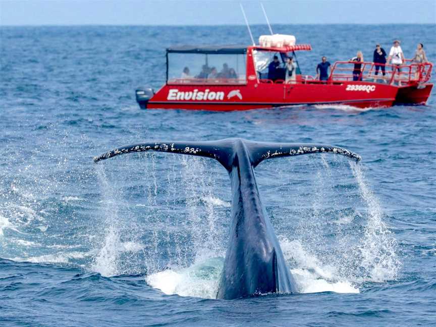 AquaMarine Adventures - Port Stephens, Nelson Bay, NSW