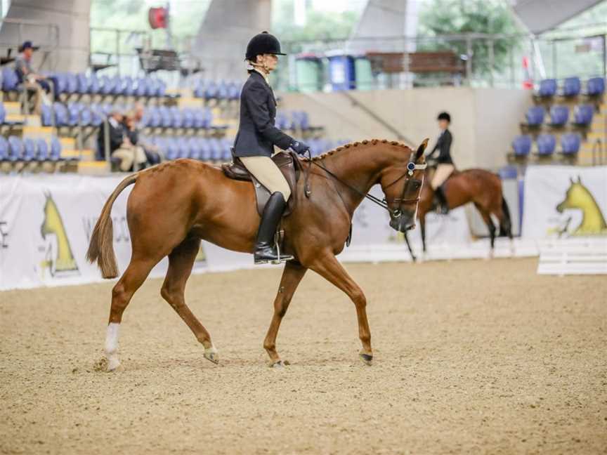 Tathren Stud and Riding School, Glossodia, NSW