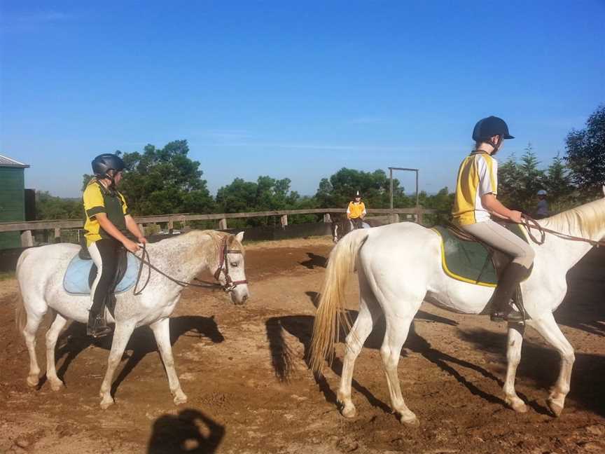 Hills and Hollows Horse Riding School, The Oaks, NSW