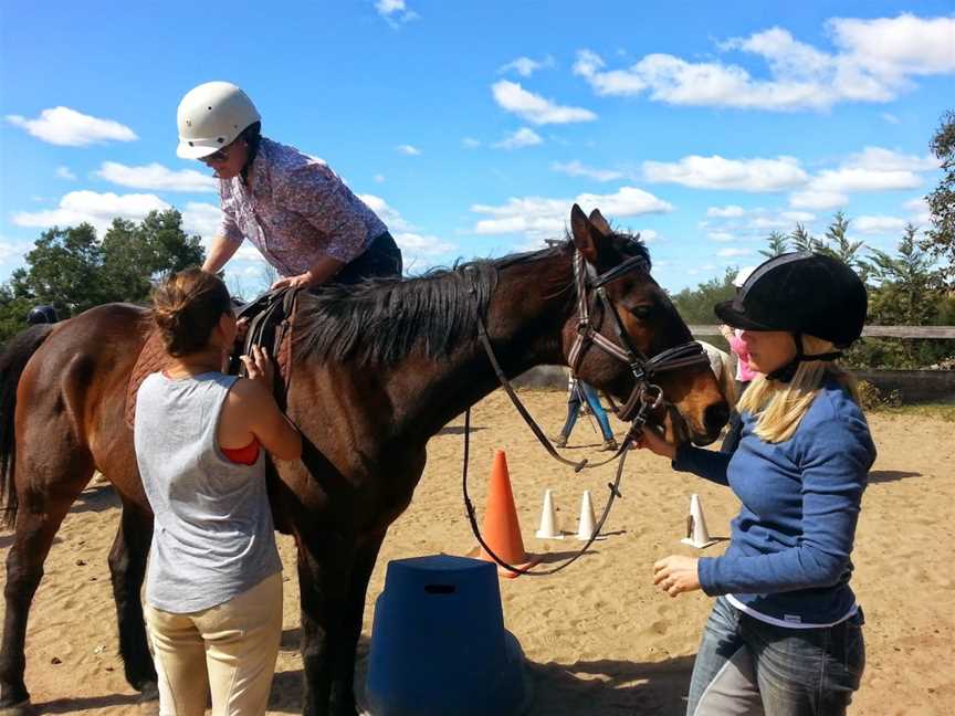 Hills and Hollows Horse Riding School, The Oaks, NSW