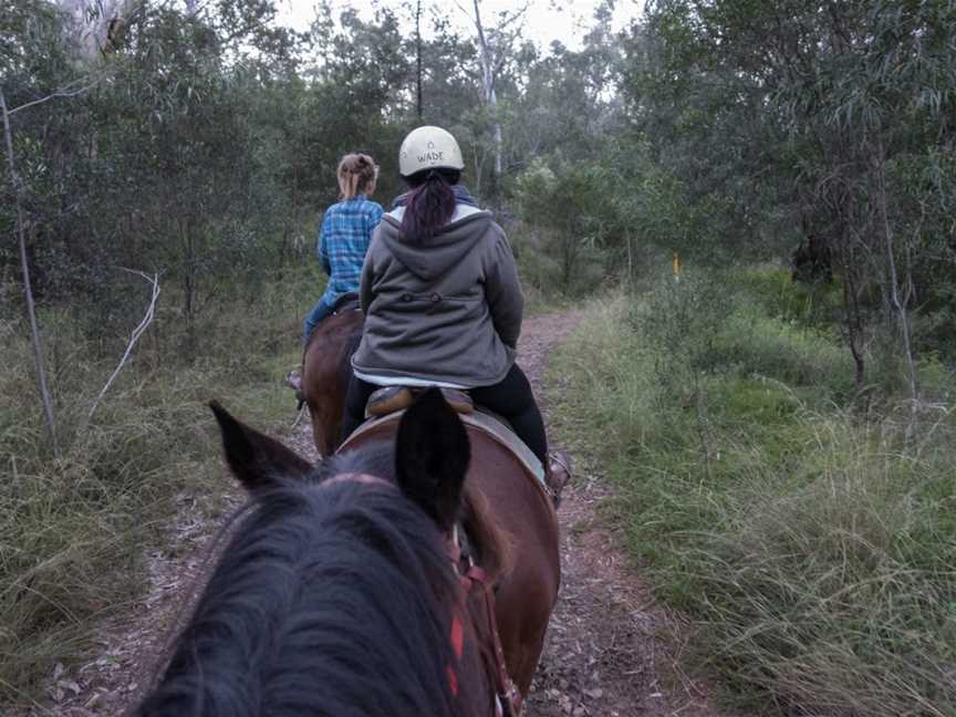 WADE HORSES BINGARA, Bingara, NSW