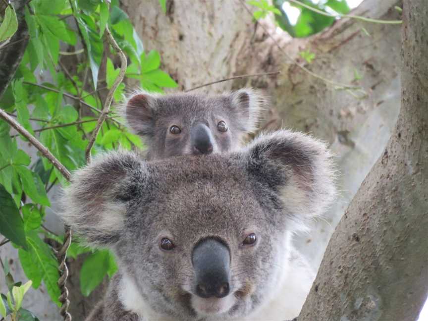 Vision Walks Eco Tours, Byron Bay, NSW