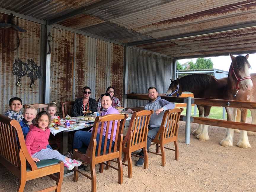 The Clydesdale Experience, Doyles Creek, NSW