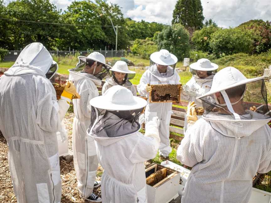 Bowral Beekeeping, Bowral, NSW