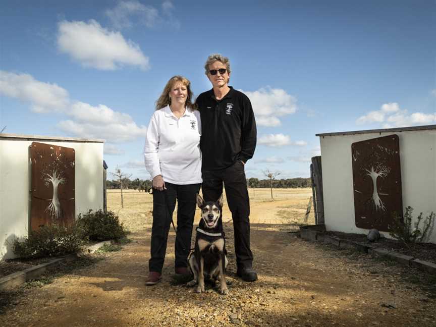 Truffle Hunting, Oallen, NSW