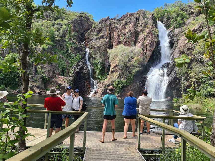 BettyBird Tour Guide, Berrimah, NT