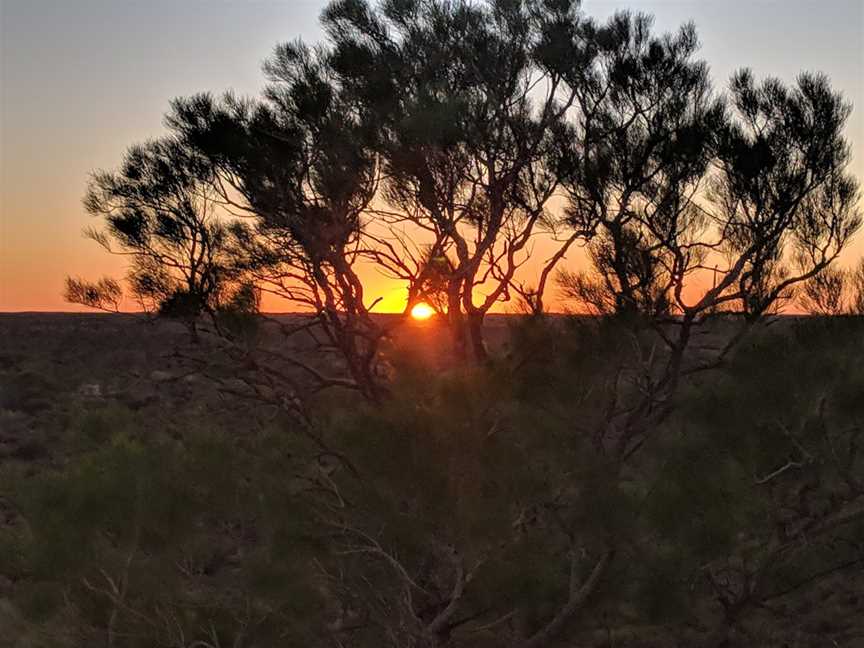 Desert Awakenings, Yulara, NT