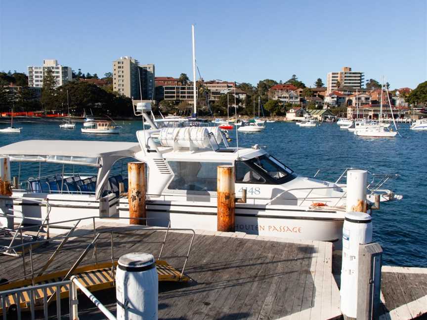 Manly Whale Watching, Manly, NSW