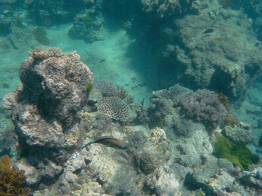 Overnight Great Barrier Reef Tour, Cairns City, QLD