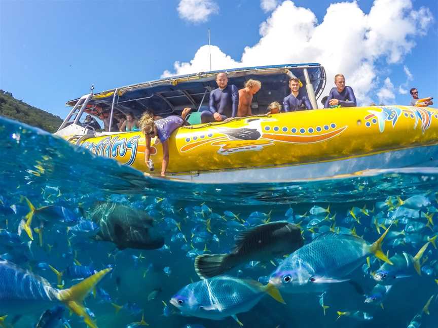 Ocean Rafting, Airlie Beach, QLD