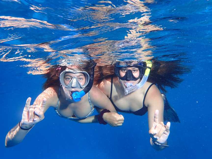 Coral Sea Dreaming Dive and Sail, Cairns City, QLD